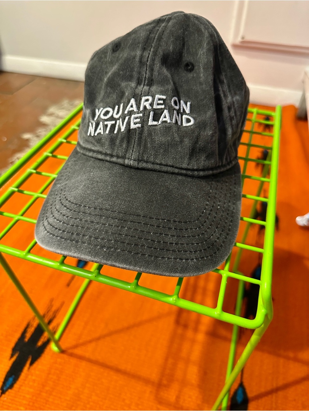 “You Are On Native Land” Baseball Cap